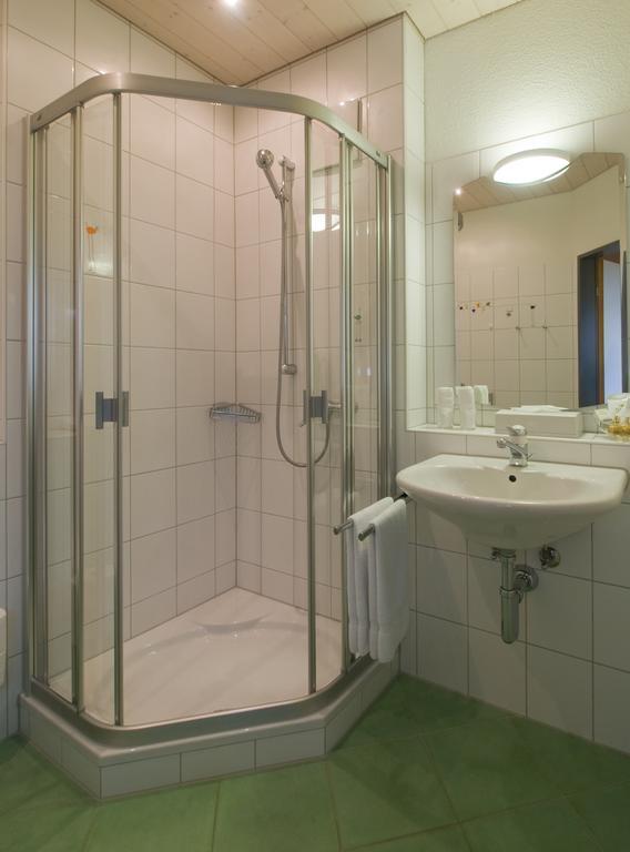 Seehotel Delphin Meisterschwanden Room photo